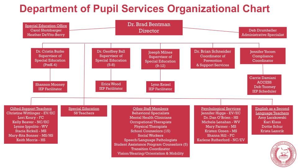 Org Chart